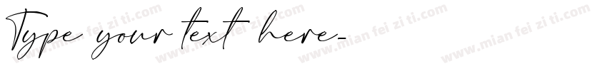 Type your text here字体转换